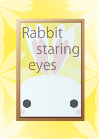 Rabbit staring eyes Vol.1