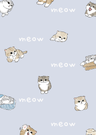 neko combo4 / alice blue