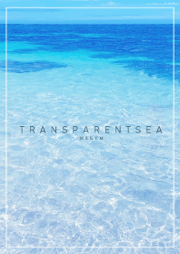 TRANSPARENT SEA 3