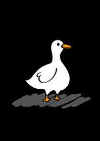 งุนงงเป็ด-สีดำคลาสสิก