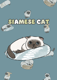 siamesecat7 - teal blue