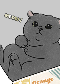 neko single21 / grey