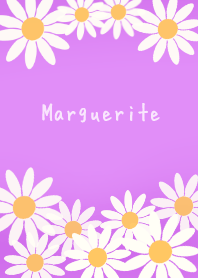 Marguerite PinkPurple
