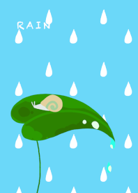 rain day frog