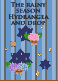 The rainy season<Hydrangea and drop>