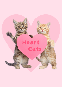 にゃんとも！好きしか勝たん！ハート子猫2