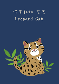 Cute-Leopard Cat