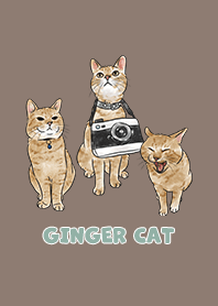 gingercat2 / brown