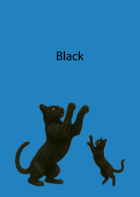 Black Pair04 on blue