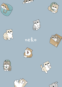 neko combo5 / light steel blue