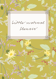 Little natural flowers 21