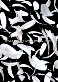 FALLING FEATHERS -WHITE-