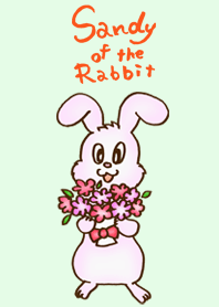 Sandy of the Rabbit