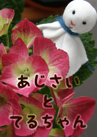 Hydrangea & Teruchan