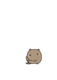 cat staring -16