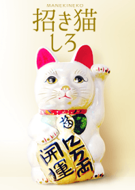 開運招福☆招き猫しろ☆