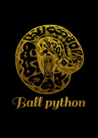 ENOGU BALL PYTHON Reptiles Theme 2