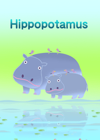 Hippopotamus