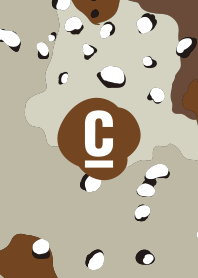 CAMOUFLAGE 4.0 ( 沙漠迷彩 )