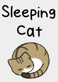잠자는 고양이 12