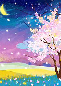 Beautiful night cherry blossoms#85