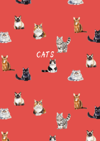 cat world on red