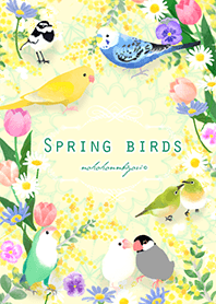 Spring Birds
