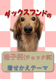 臘腸犬的粉紅色網格圖案（格子圖案）