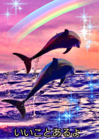 lucky rainbow Sea dolphin