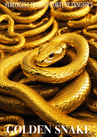 Golden snake  Lucky 65