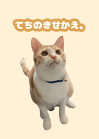Theme of KOTETSU