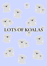 LOTS OF KOALAS/LIGHT BLUE PURPLE