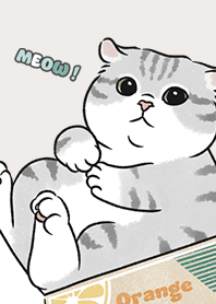 neko single15 - light beige