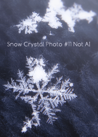 Snow Crystal Photo #11-23Not AI