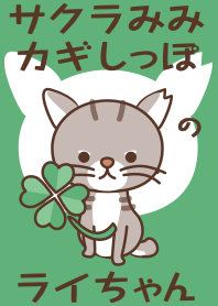 Theme of a bobtail cat - Green