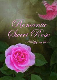 Romantic Sweet Rose