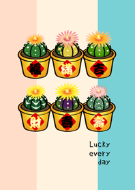 Lucky Potted Plant(soft three colors)