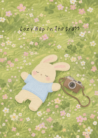 Cozy Nap in the Grass