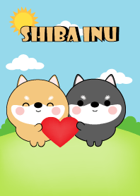 Mini Shiba Inu & black Shiba Inu Theme
