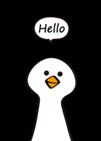 โง่ห่าน-สีดำคลาสสิก