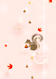 THE squirrel (autumn, pink gold )