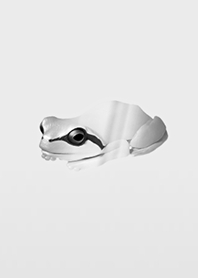 Thankful silver frog