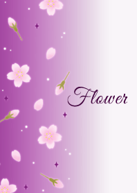 Flower 006 (Cherry blossoms-Purple)