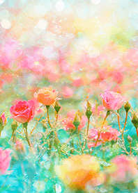 Beautiful rose flower(R3225)