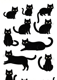 Super cute black cat FcZnN