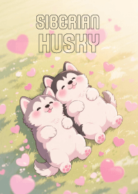 Pretty siberian husky Couple Lover