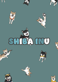 shibainu3 / dark cadet blue