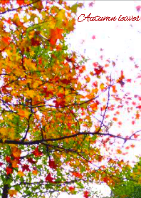 Fall color