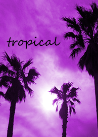 染成深紫色的熱帶棕櫚風景☆