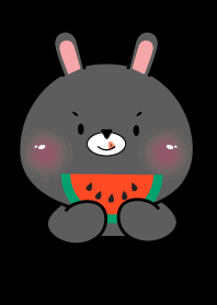 Face Black Rabbit  Simple Theme